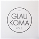 Glaukoma - Glaukoma Vol. 2